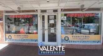 ESPECTACULAR LOCAL COMERCIAL – LA FALDA