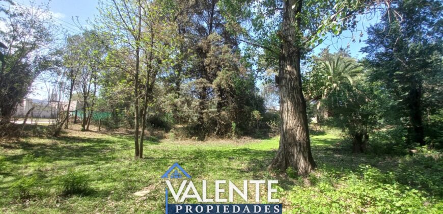 LOTE 102 – LA SERNA Y URQUIZA