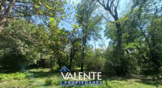 LOTE 101 – LA SERNA Y URQUIZA