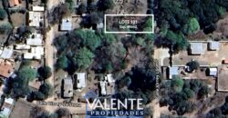 LOTE 101 – LA SERNA Y URQUIZA