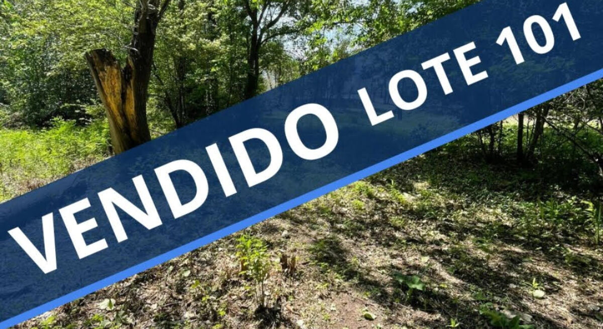 LOTE 101 – LA SERNA Y URQUIZA