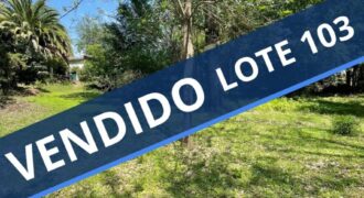 LOTE 103 – LA SERNA Y URQUIZA