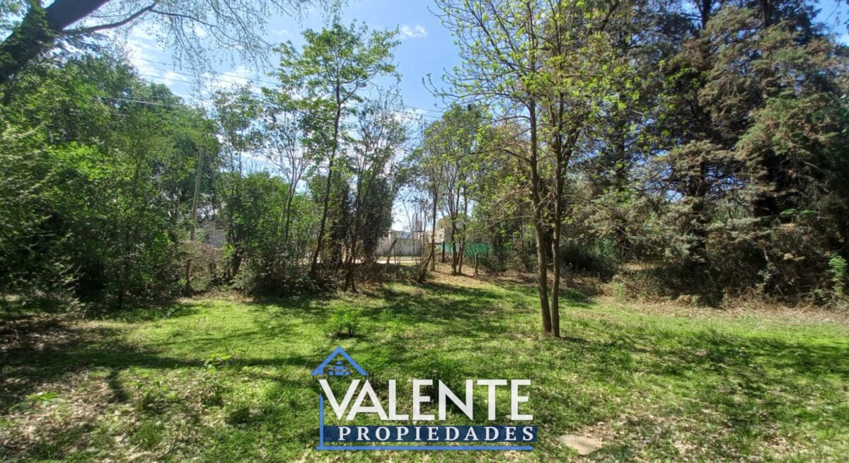 LOTE 102 – LA SERNA Y URQUIZA