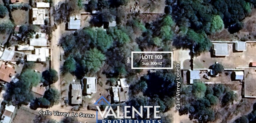 LOTE 103 – LA SERNA Y URQUIZA