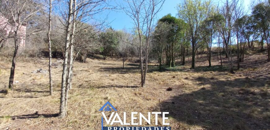 LOTE 617m2 – DOS CUADRAS DE RUTA 38 VALLE HERMOSO