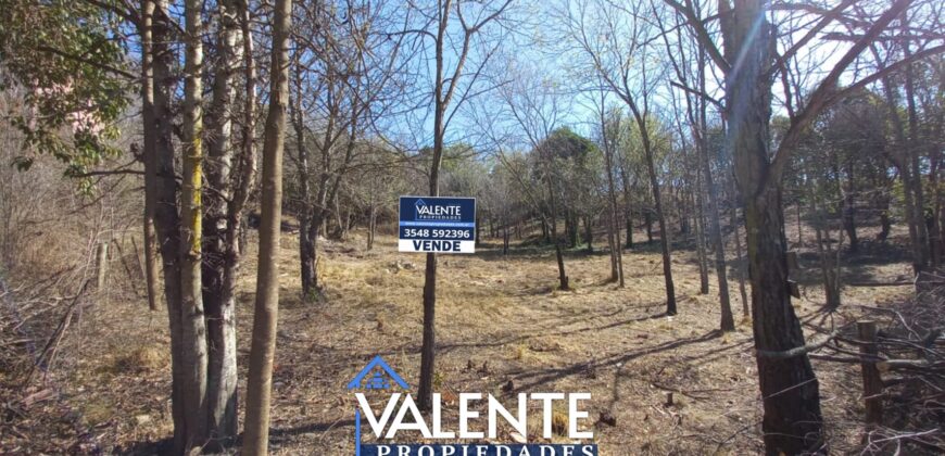LOTE 617m2 – DOS CUADRAS DE RUTA 38 VALLE HERMOSO