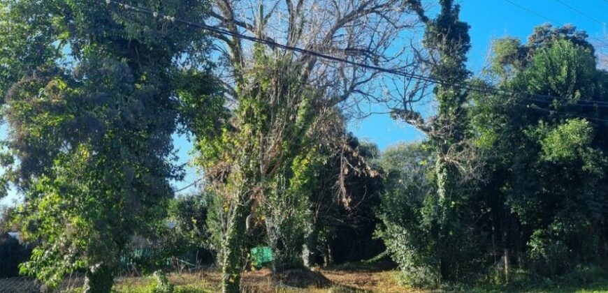 ESPECTACULAR LOTE CON FRENTE DE 30MTS – HUERTA GRANDE