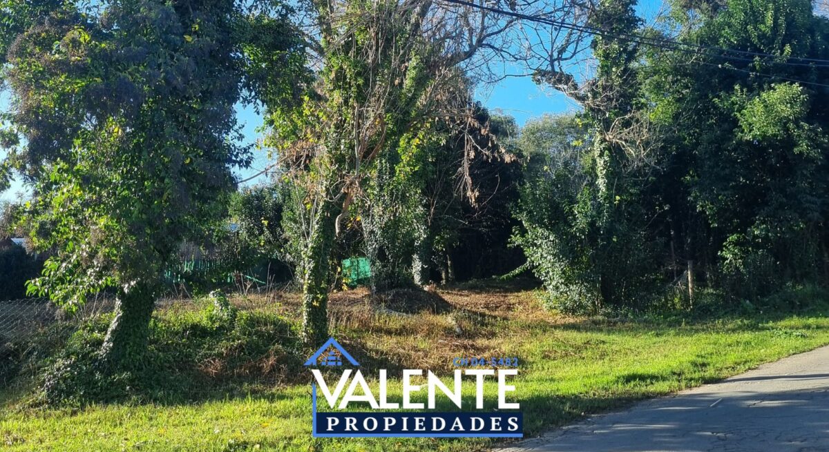 ESPECTACULAR LOTE CON FRENTE DE 30MTS – HUERTA GRANDE